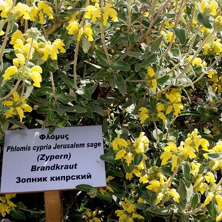 Polis Herb Garden المظهر الخارجي الصورة